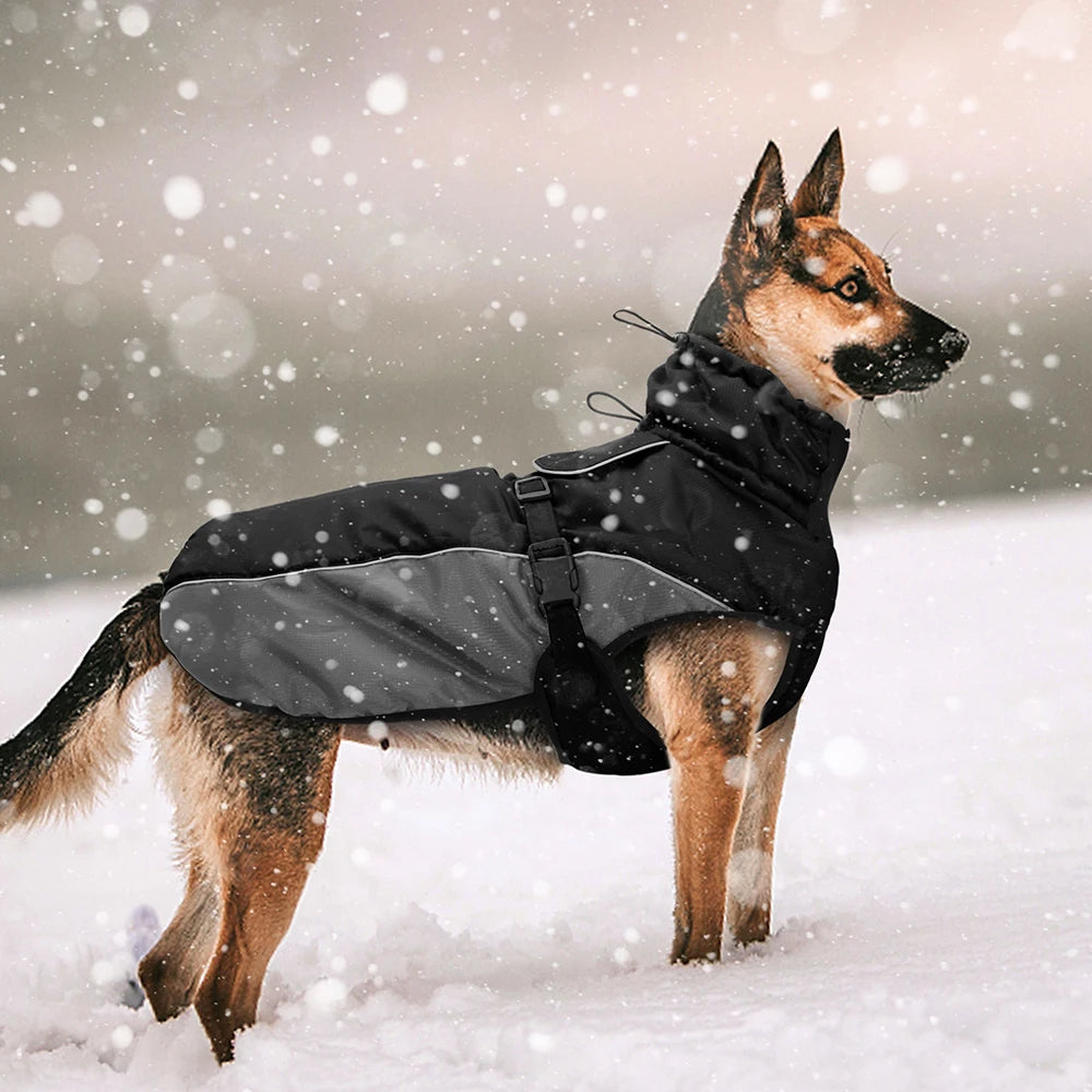 Waterproof Winter Dog Coat – Large Breeds (XL– 6XL)