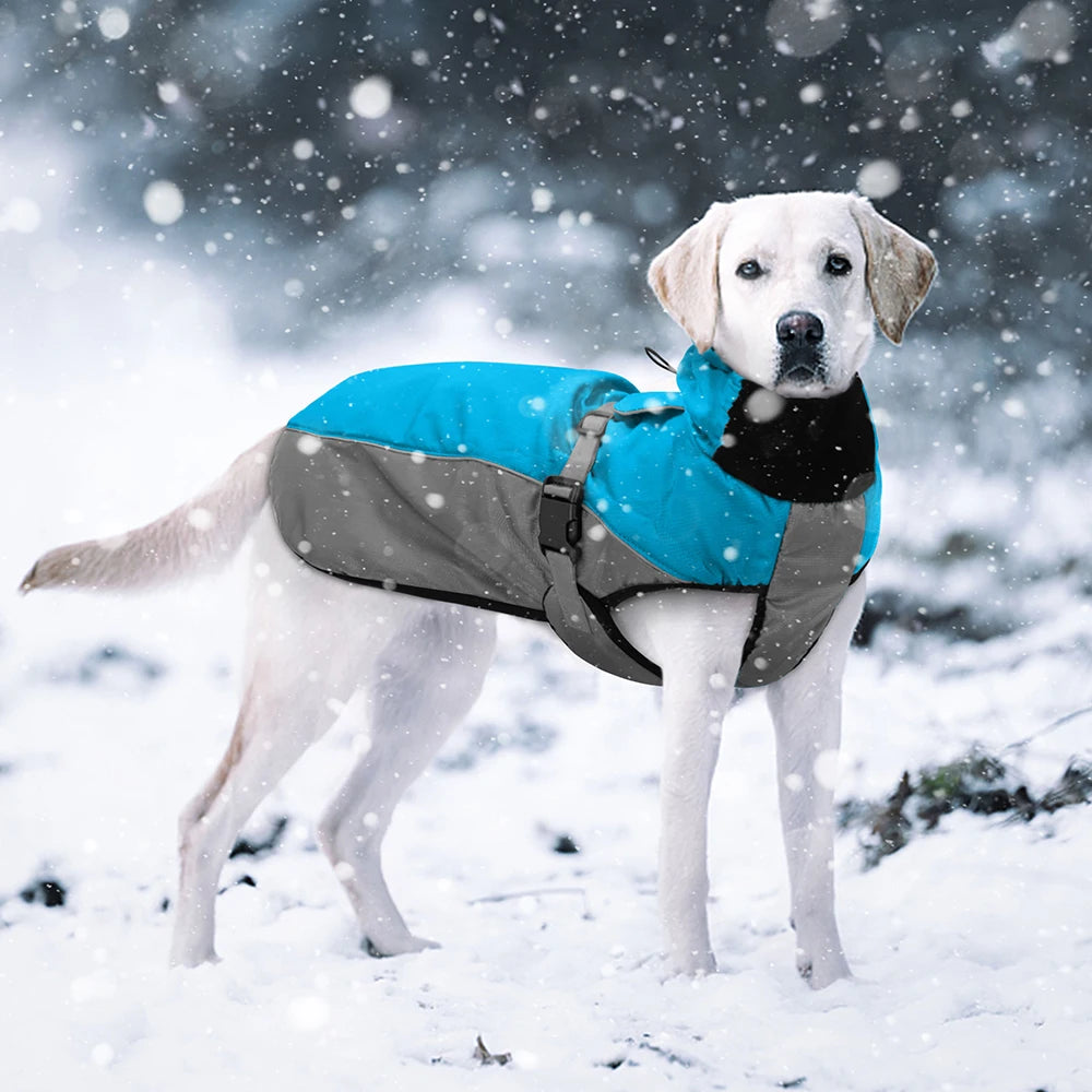 Waterproof Winter Dog Coat – Large Breeds (XL– 6XL)