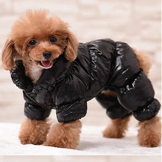 Waterproof Winter Dog Jumpsuit – Small & Medium Dogs (XS–2XL)