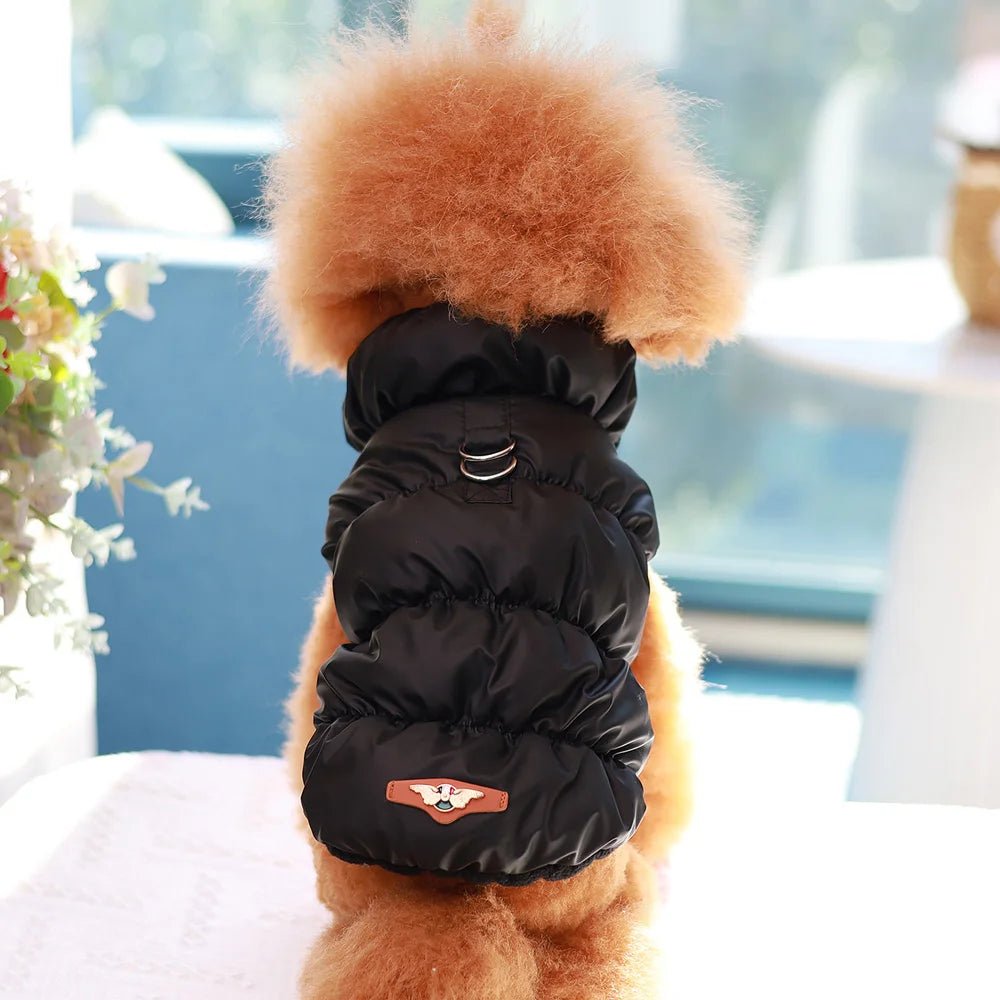Padded Winter Dog Vest – Warm Coat for Small Dogs
