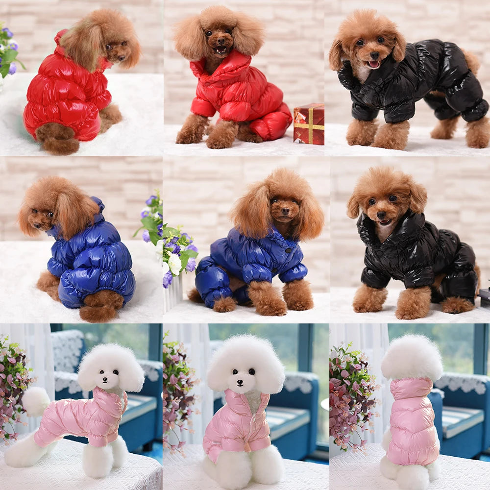 Waterproof Winter Dog Jumpsuit – Small & Medium Dogs (XS–2XL)