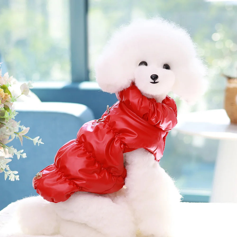 Padded Winter Dog Vest – Warm Coat for Small Dogs