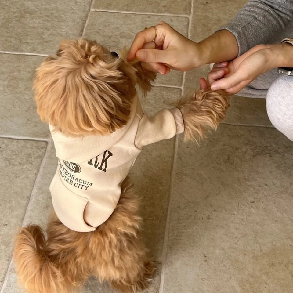 Fleece Dog Hoodie – Warm Winter Sweatshirt for Small Dogs