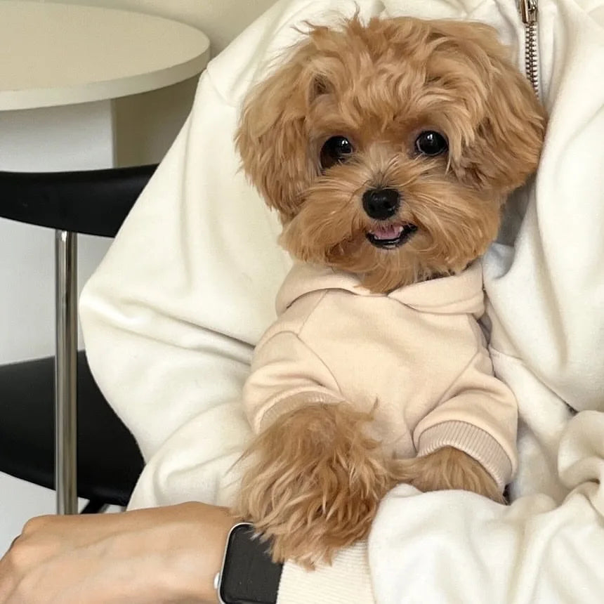 Fleece Dog Hoodie – Warm Winter Sweatshirt for Small Dogs