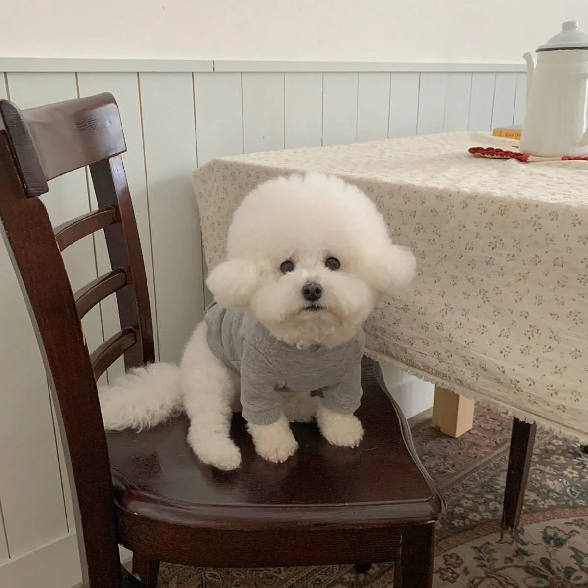 Fleece Dog Hoodie – Warm Winter Sweatshirt for Small Dogs