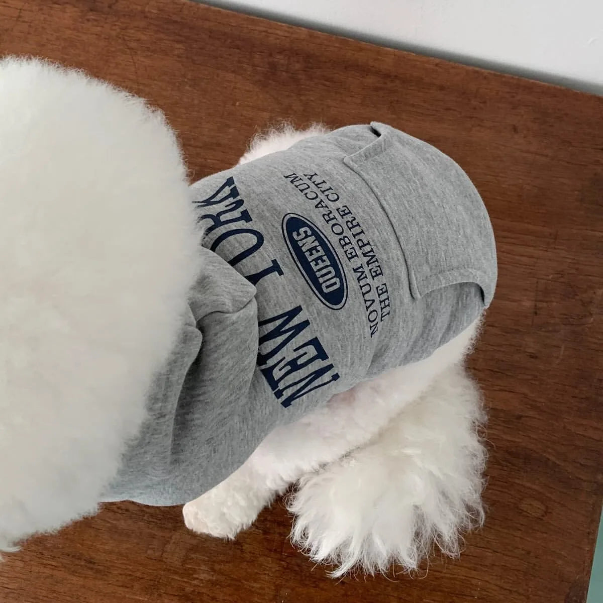 Fleece Dog Hoodie – Warm Winter Sweatshirt for Small Dogs